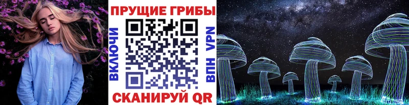 сколько стоит  Харабали  Галлюциногенные грибы GOLDEN TEACHER 
